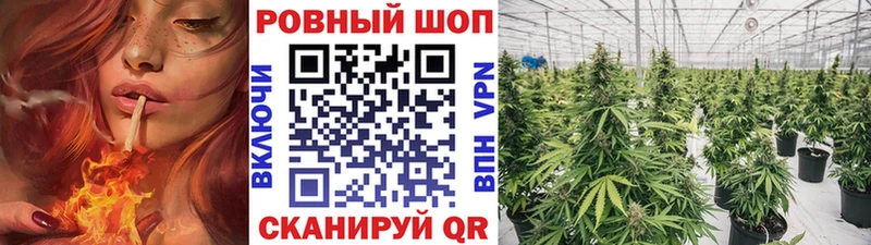 Наркошоп купить COCAIN  Мефедрон  Галлюциногенные грибы  МАРИХУАНА  Макаров
