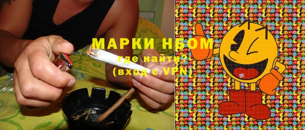 амф Горняк