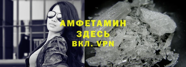 амф Горняк