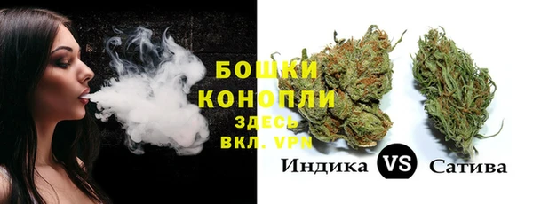 амф Горняк