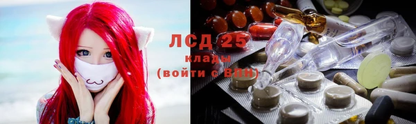 крисы Горнозаводск