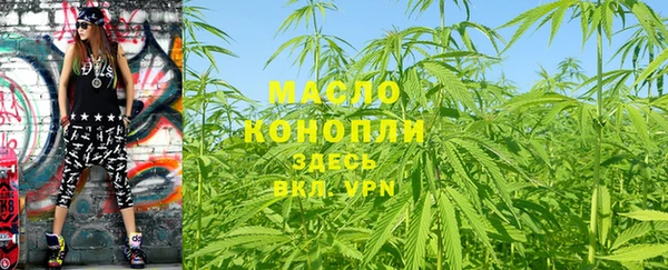 амф Горняк