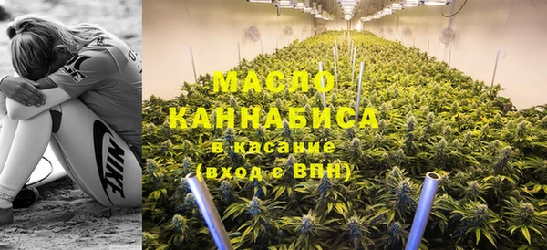 амф Горняк