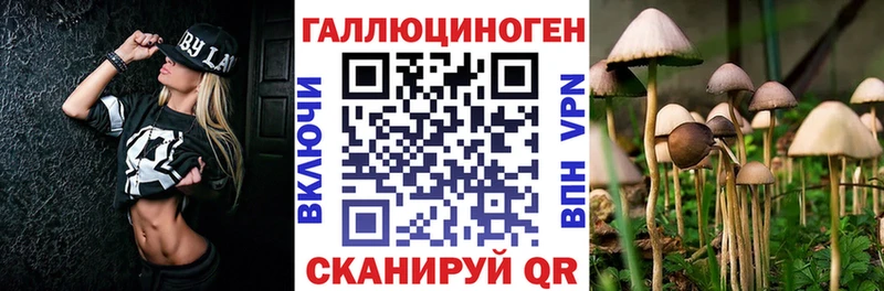 Купить  Макаров  Галлюциногенные грибы GOLDEN TEACHER 